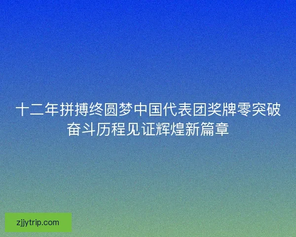十二年拼搏终圆梦中国代表团奖牌零突破奋斗历程见证辉煌新篇章