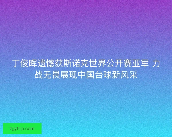 丁俊晖遗憾获斯诺克世界公开赛亚军 力战无畏展现中国台球新风采